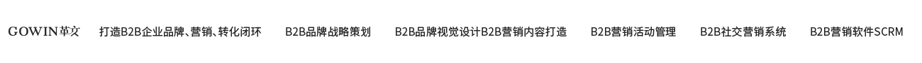 中能科技---品牌架构梳理  品牌建设(图11)