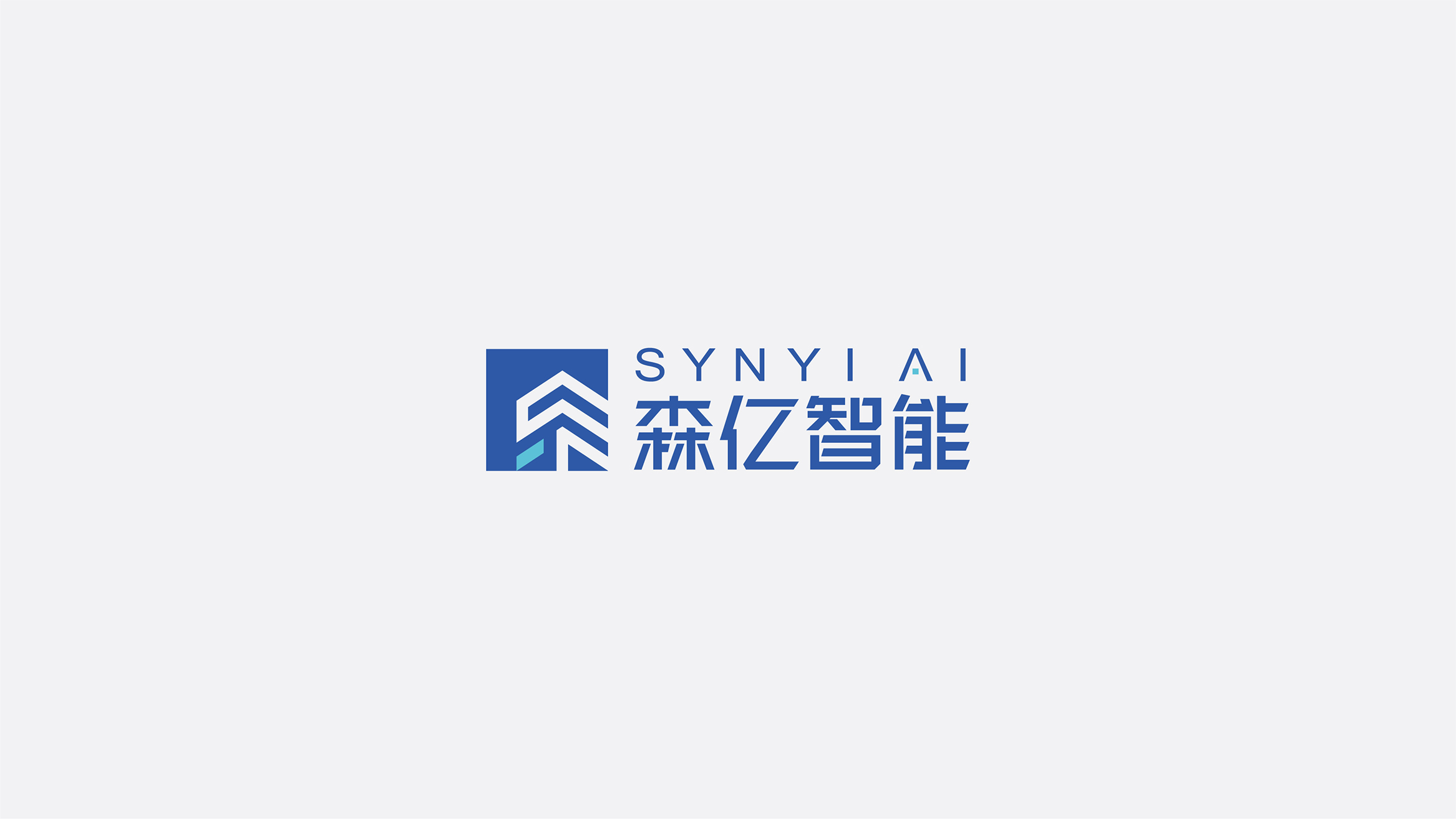 森亿智能-02.jpg