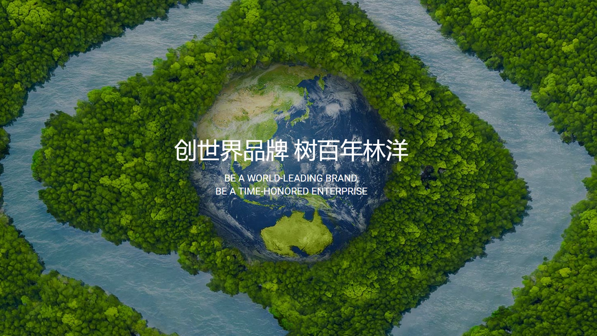 林洋-1(1).jpg
