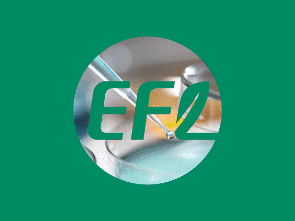 EFL 案例封面