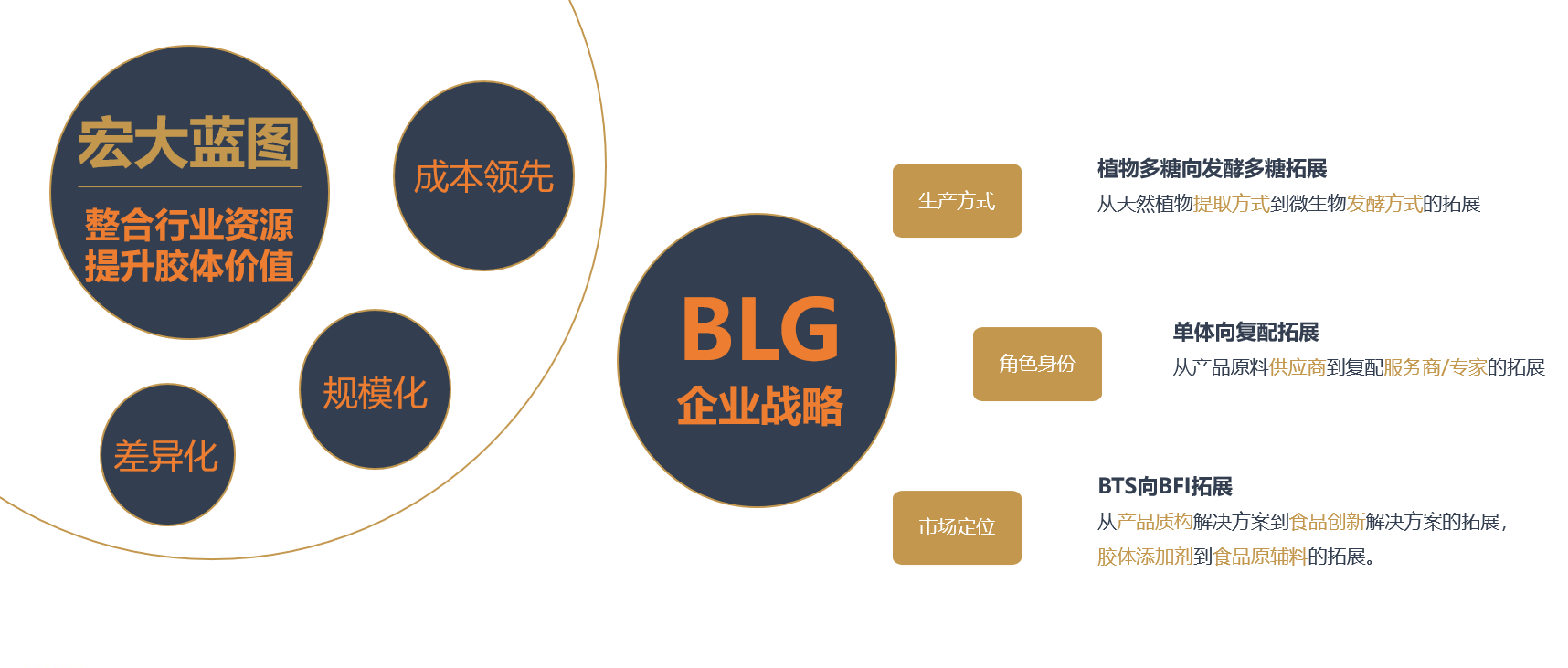 BLG | 北连生物 品牌战略全案服务(图14)