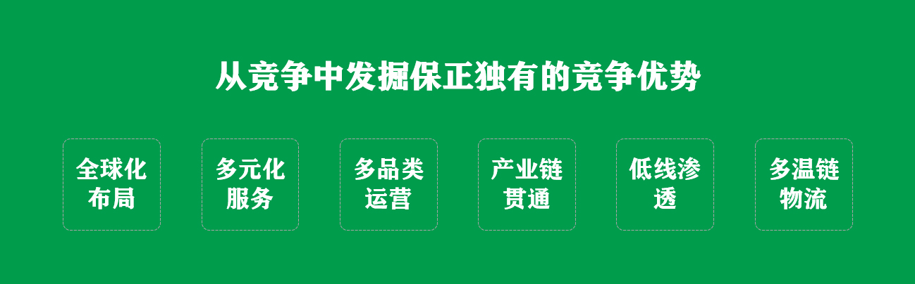 保正物流 品牌策划创意全案服务(图13)