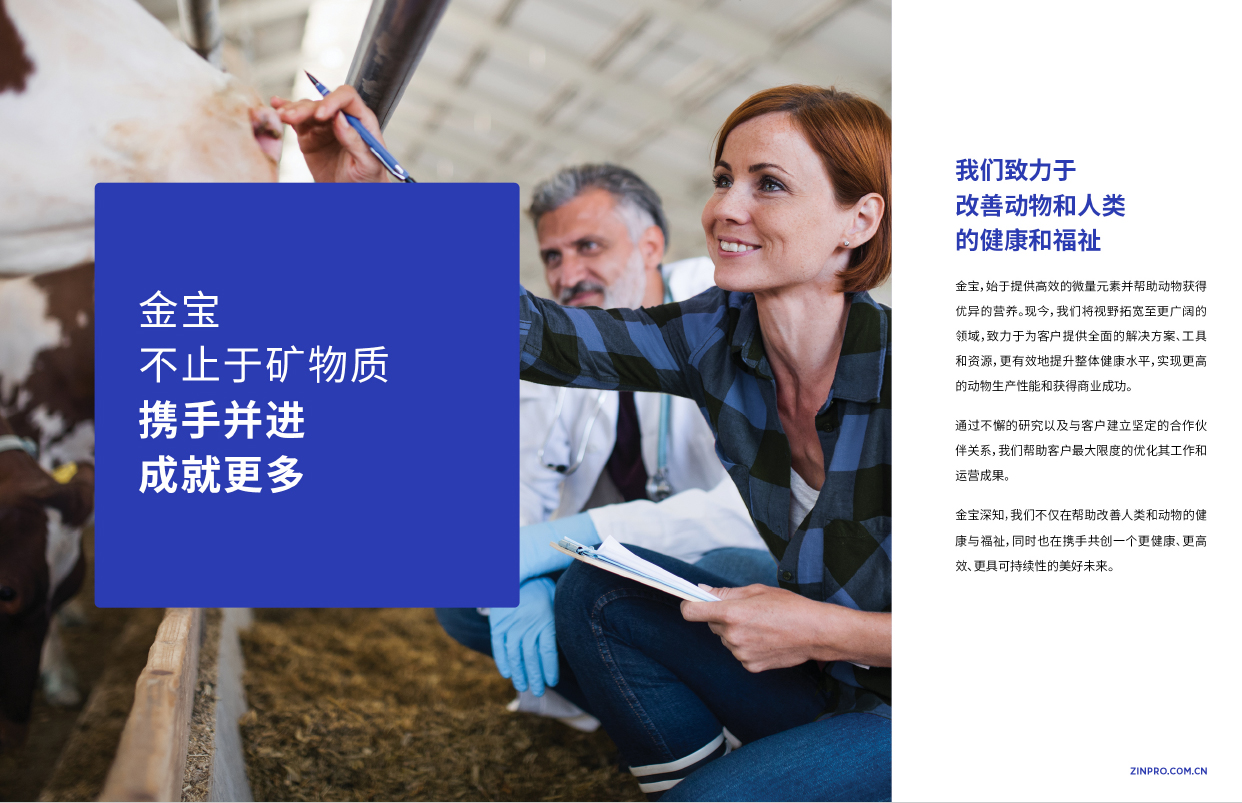美国金宝公司(图5)