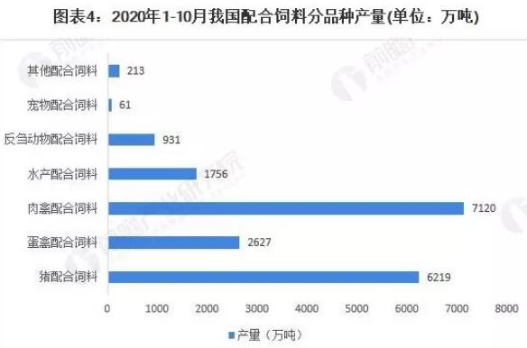图片14.jpg