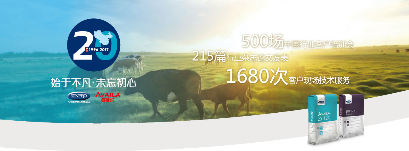 美国金宝公司(图43)