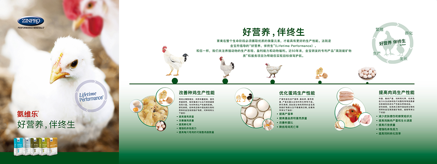 美国金宝公司(图49)