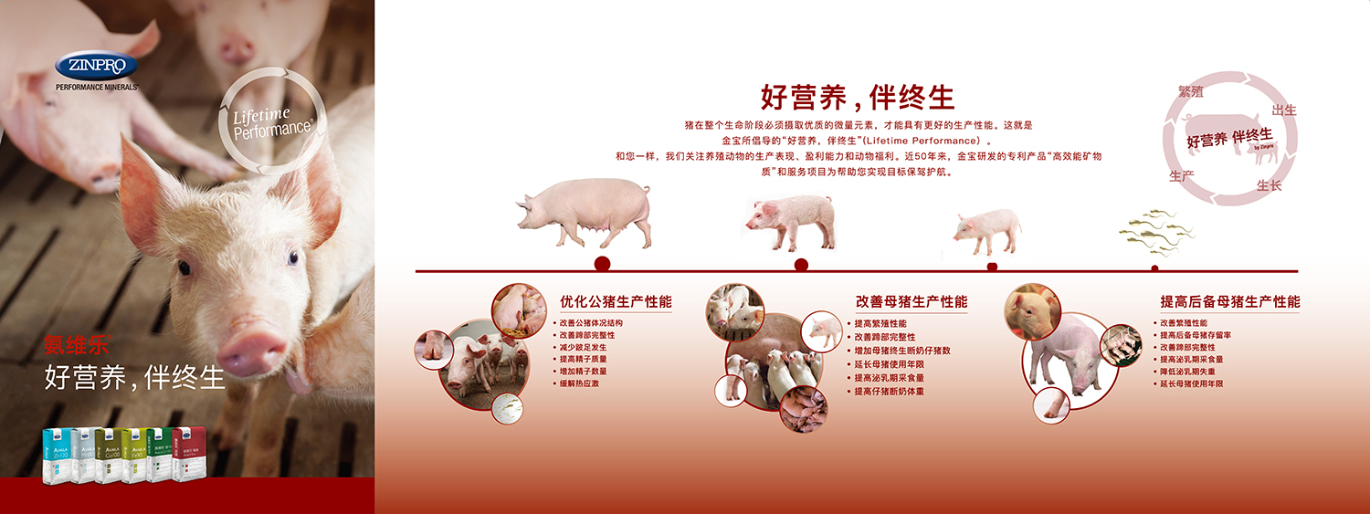 美国金宝公司(图50)