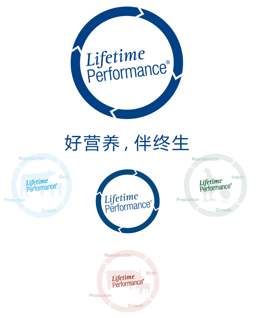美国金宝公司(图17)